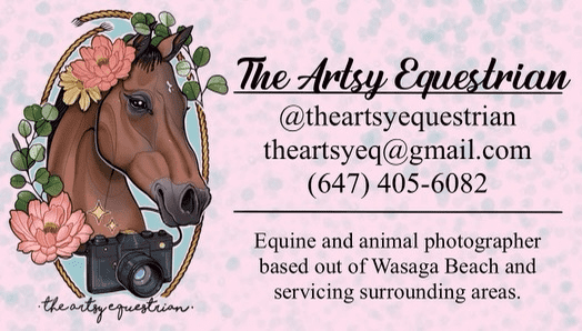 Artsy Equestrian Ad