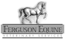 FERGUSON EQUINE